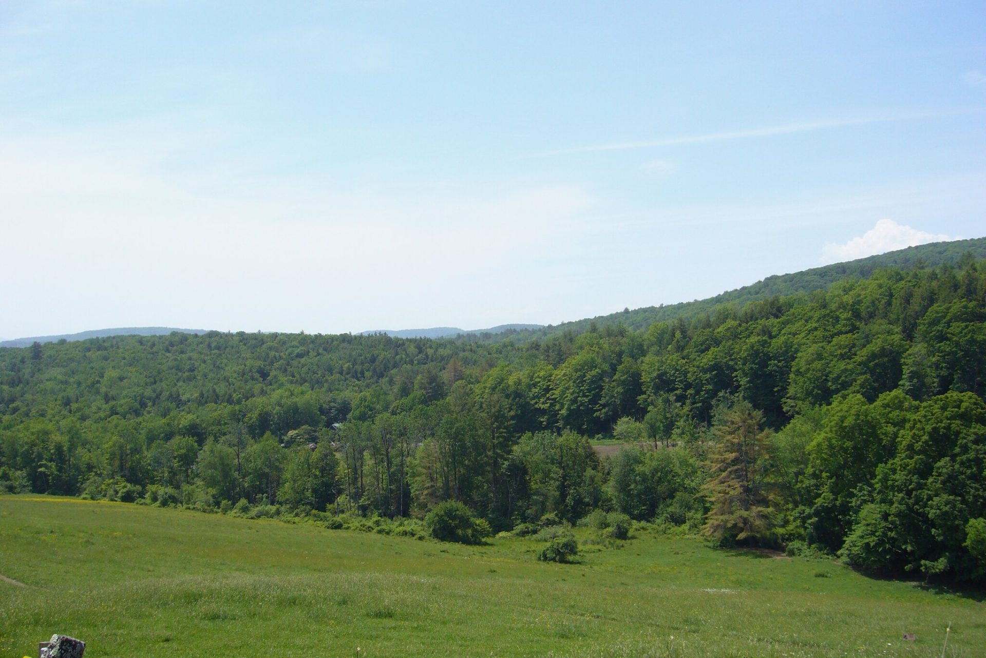 Sugarbush Farm