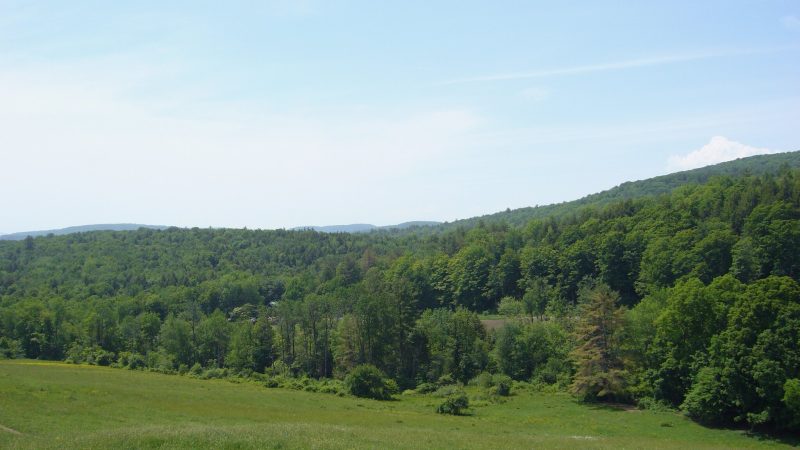 Sugarbush Farm