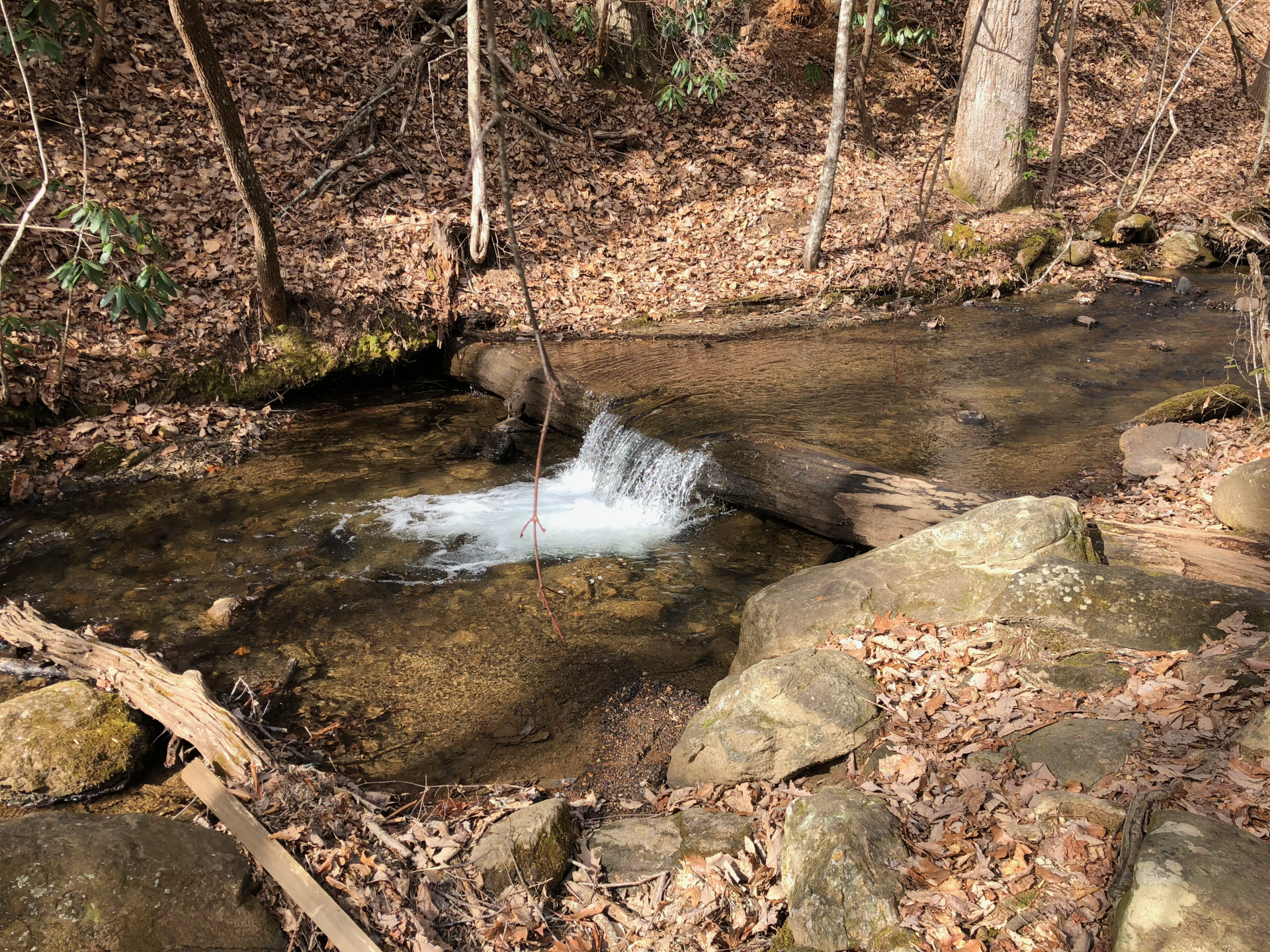 Amicalola Falls State Park