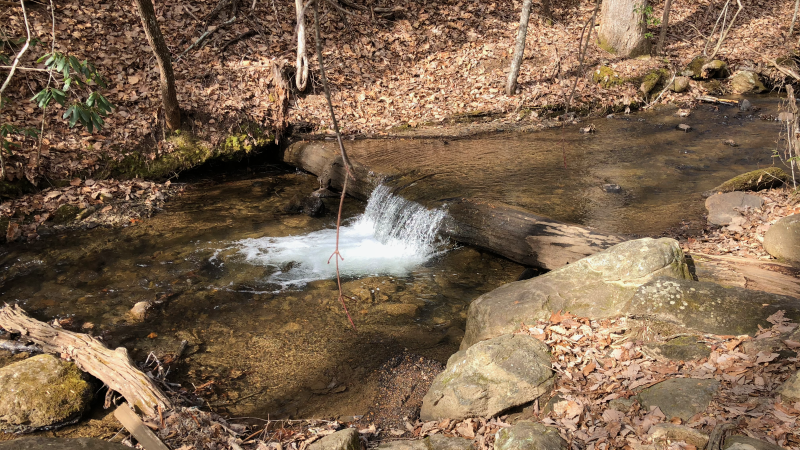 Amicalola Falls State Park