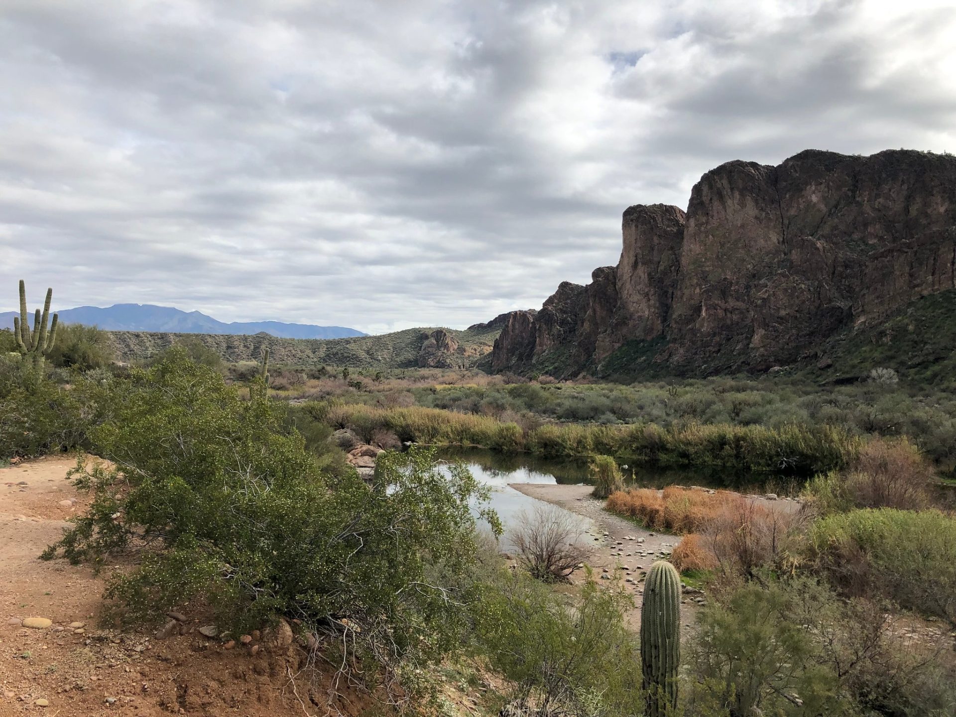 Butcher Jones Trail Mesa AZ